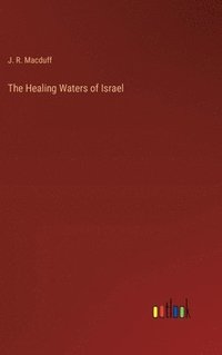 bokomslag The Healing Waters of Israel