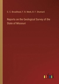 bokomslag Reports on the Geological Survey of the State of Missouri
