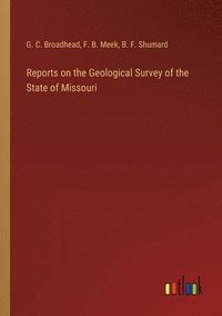 bokomslag Reports on the Geological Survey of the State of Missouri