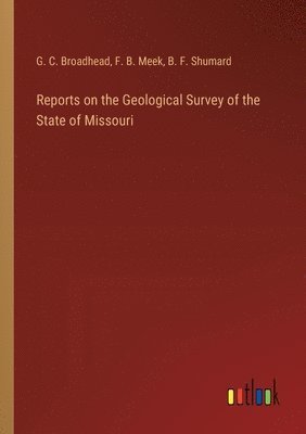 bokomslag Reports on the Geological Survey of the State of Missouri