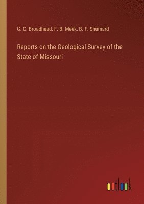 Reports on the Geological Survey of the State of Missouri 1