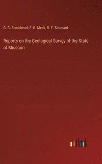 bokomslag Reports on the Geological Survey of the State of Missouri