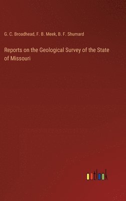bokomslag Reports on the Geological Survey of the State of Missouri
