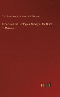 Reports on the Geological Survey of the State of Missouri 1