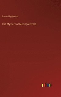 bokomslag The Mystery of Metropolisville