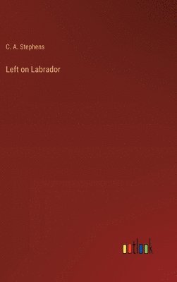 bokomslag Left on Labrador