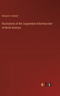 bokomslag Illustrations of the Zygaenidae & Bombycidae of North America