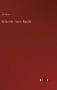 bokomslag Bulletin de l'Institut Egyptien