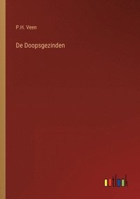 bokomslag De Doopsgezinden