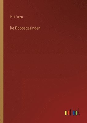 bokomslag De Doopsgezinden