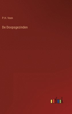 bokomslag De Doopsgezinden