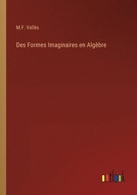 bokomslag Des Formes Imaginaires en Algbre