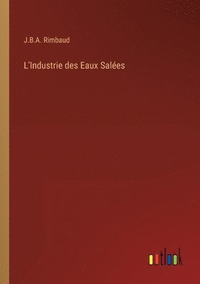 bokomslag L'Industrie des Eaux Sales