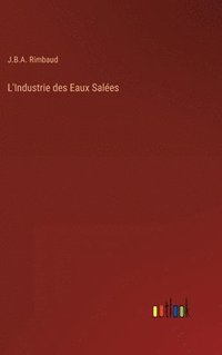 bokomslag L'Industrie des Eaux Sales