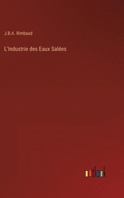 L'Industrie des Eaux Sales 1