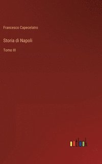 bokomslag Storia di Napoli