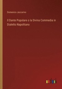 bokomslag Il Dante Popolare o la Divina Commedia in Dialetto Napolitano
