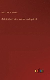 bokomslag Ostfriesland wie es denkt und spricht