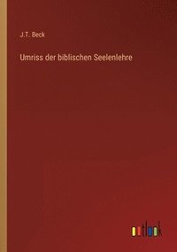 bokomslag Umriss der biblischen Seelenlehre