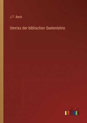 bokomslag Umriss der biblischen Seelenlehre