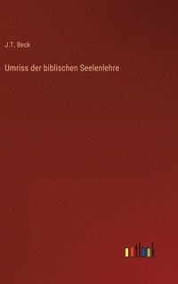 bokomslag Umriss der biblischen Seelenlehre
