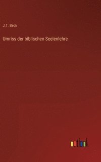 bokomslag Umriss der biblischen Seelenlehre