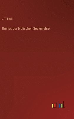 bokomslag Umriss der biblischen Seelenlehre