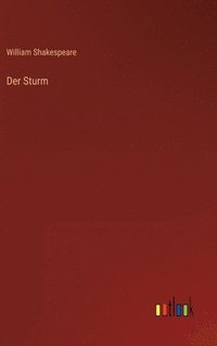 bokomslag Der Sturm