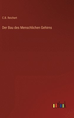Bau des Menschlichen Gehirns