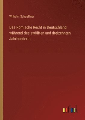 bokomslag Das Rmische Recht in Deutschland whrend des zwlften und dreizehnten Jahrhunderts