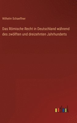 bokomslag Das Rmische Recht in Deutschland whrend des zwlften und dreizehnten Jahrhunderts