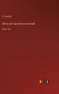 bokomslag Abriss der Sprachwissenschaft