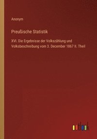 bokomslag Preuische Statistik