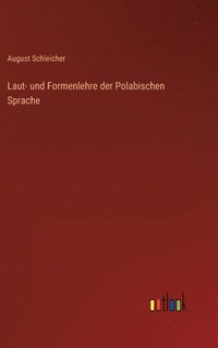 bokomslag Laut- und Formenlehre der Polabischen Sprache