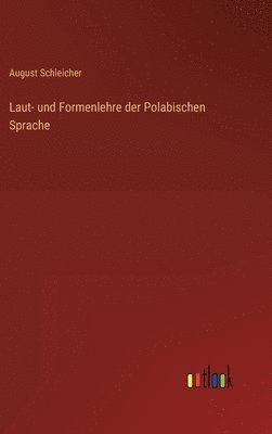 bokomslag Laut- und Formenlehre der Polabischen Sprache