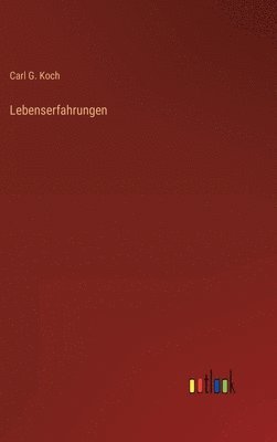 bokomslag Lebenserfahrungen