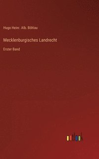 bokomslag Mecklenburgisches Landrecht