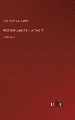 bokomslag Mecklenburgisches Landrecht