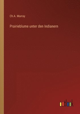 Prairieblume unter den Indianern 1