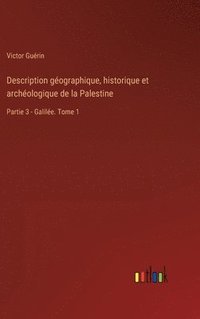 bokomslag Description gographique, historique et archologique de la Palestine