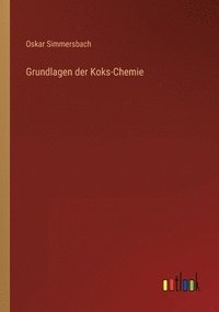 bokomslag Grundlagen der Koks-Chemie