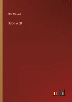 bokomslag Hugo Wolf