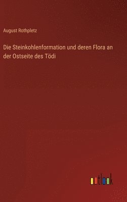 Steinkohlenformation und deren Flora an der Ostseite des Tödi