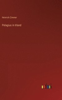 bokomslag Pelagius in Irland