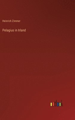 bokomslag Pelagius in Irland