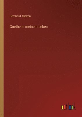 bokomslag Goethe in meinem Leben