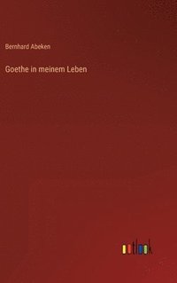 bokomslag Goethe in meinem Leben