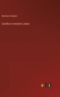 bokomslag Goethe in meinem Leben