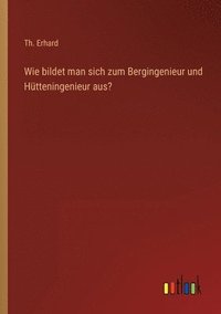 bokomslag Wie bildet man sich zum Bergingenieur und Hütteningenieur aus?