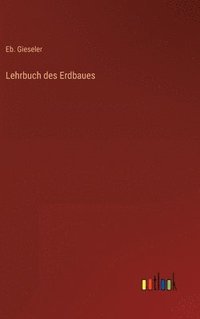 bokomslag Lehrbuch des Erdbaues